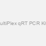 One Step MultiPlex qRT PCR Kit with Probe